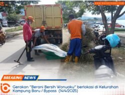 Bombana Kinclong! Gerakan ‘Berani Bersih Wonuaku’ Ubah Wajah Kota Jadi Lebih Asri | berani.news