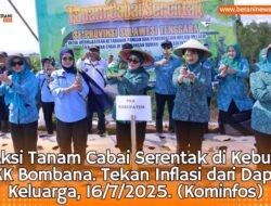 Aksi Hebat PKK Bombana! Tanam Cabai Serentak Tekan Inflasi dari Dapur Keluarga