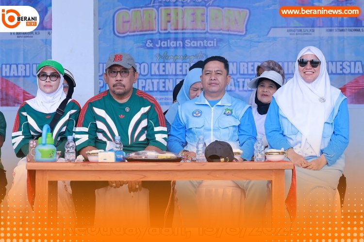 Car free day