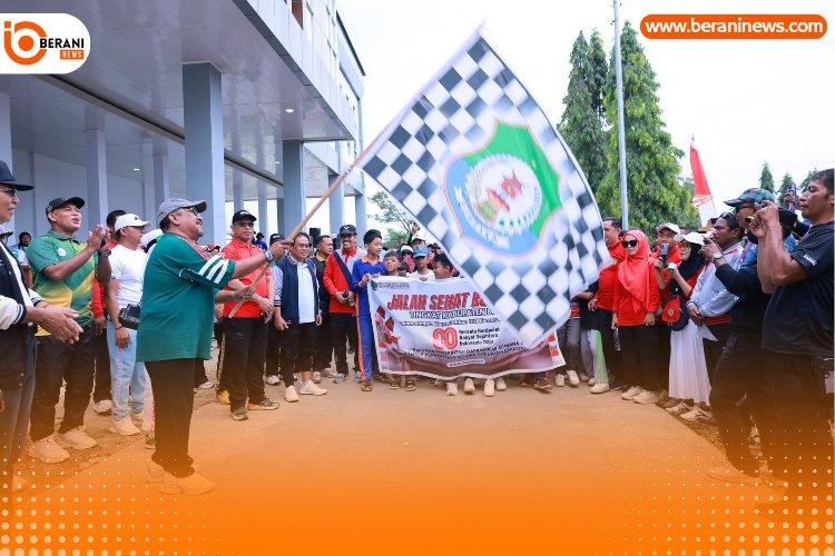 Car free day