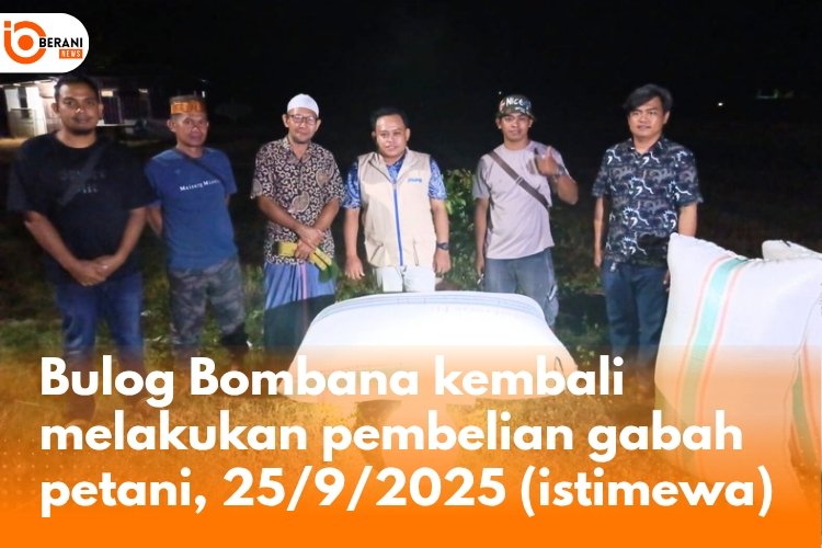 bulog bombana 