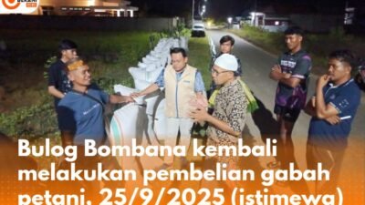Bulog Bombana Kembali Beli Gabah Rp6.500/Kg, Jaga Harga Petani Tetap Stabil