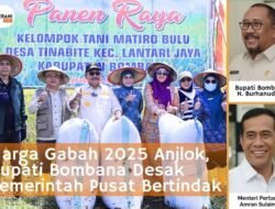 Harga Gabah Turun, Bupati Bombana Desak Pemerintah Pusat Bertindak