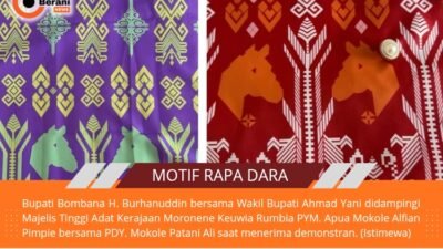 Rapa Dara, Simbol Emansipasi Perempuan Tangguh Suku Moronene di Pulau Kabaena