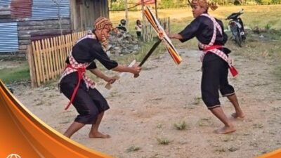 Tari Momaani dan Kawi’a Bombana ditetapkan sebagai Warisan Budaya Takbenda Indonesia 2025