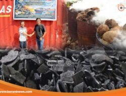 Arang Tempurung Kelapa Bombana Tembus Pasar Ekspor China